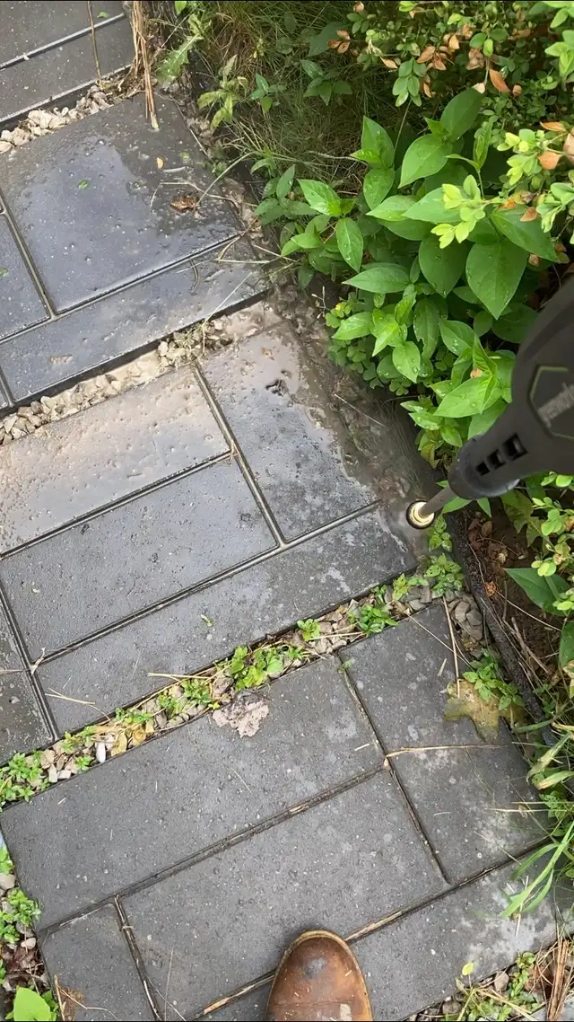 deck cleaning and repair - Photo 5