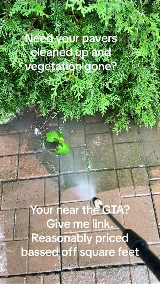 deck cleaning and repair - Photo 6