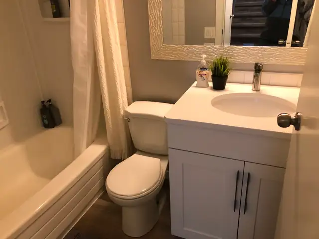 Updated 2 bed 2 bath 4plex w/ Balcony in Killarney - $1995 - Photo 7