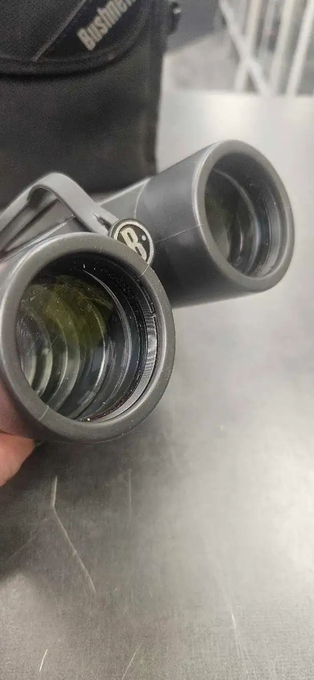 Bushnell 8 x 42 Binoculars - Photo 3