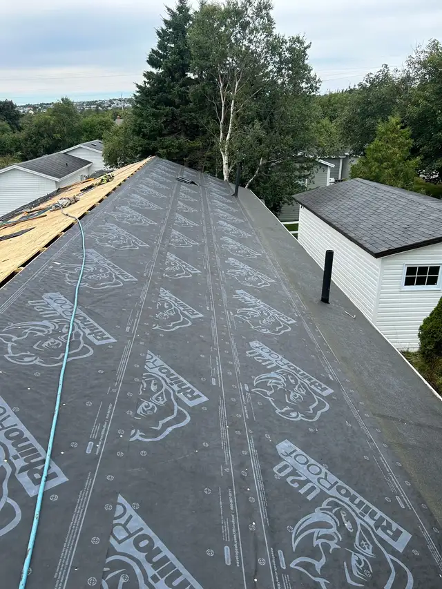 Roof repairs - Photo 9