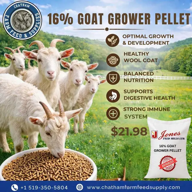 16% Goat Grower Pellet – Build Stronger Herds!