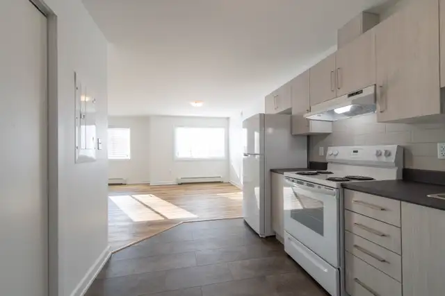 AVAILABLE NOW - LARGE TWO BEDROOM UNIT- ALFRED - Photo 2