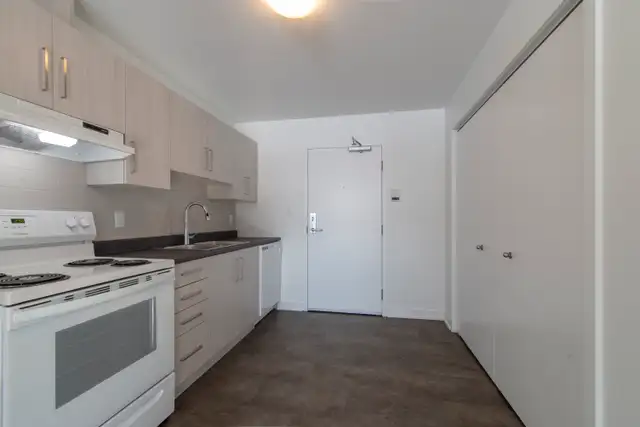 AVAILABLE NOW - LARGE TWO BEDROOM UNIT- ALFRED - Photo 4