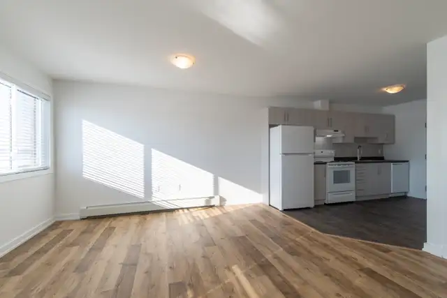 AVAILABLE NOW - LARGE TWO BEDROOM UNIT- ALFRED - Photo 5