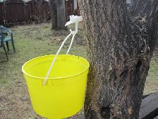 Maple Tapping Taps Spiles Spigots - $2.50 each