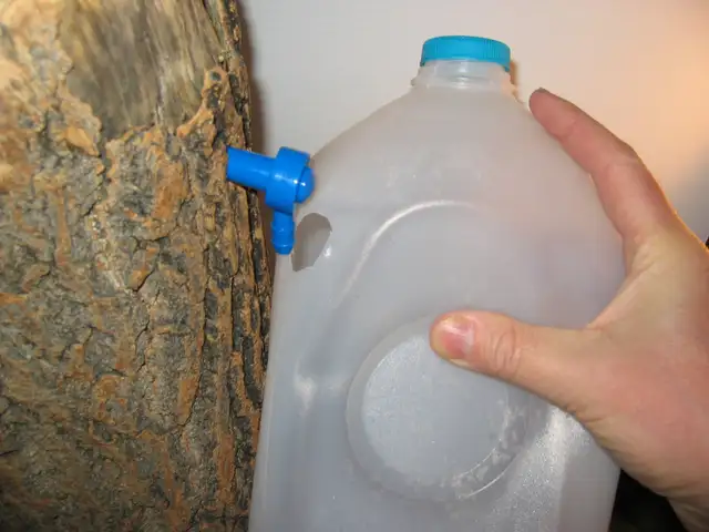 Maple Tapping Taps Spiles Spigots - $2.50 each - Photo 6