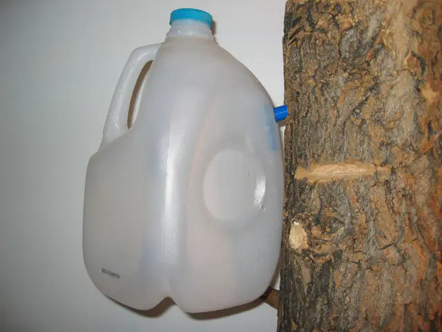 Maple Tapping Taps Spiles Spigots - $2.50 each - Photo 7