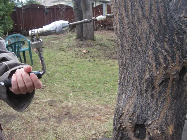 Maple Tapping Taps Spiles Spigots - $2.50 each - Photo 8