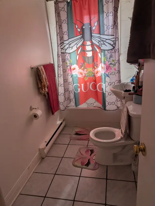 Villeray  3 1/2 1er juillet 2026 - Photo 5