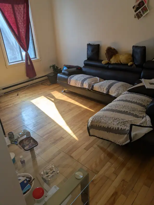 Villeray  3 1/2 1er juillet 2026 - Photo 6