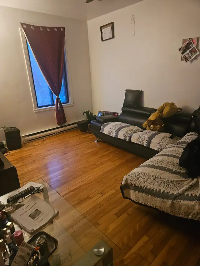 Villeray  3 1/2 1er juillet 2026 - Photo 7