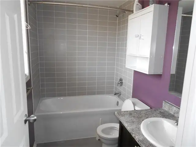 Beautiful Brookfield Home for Rent - Available June 1st, 2026 - Photo 9