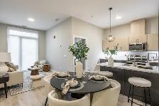 1 & 3 Bedroom Units Available in North London at Staxlyfe! - Photo 2