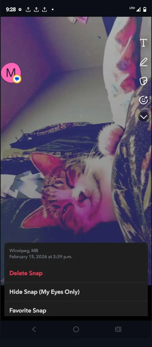 Looking for my forever home