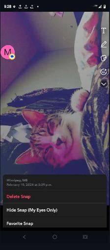 Looking for my forever home