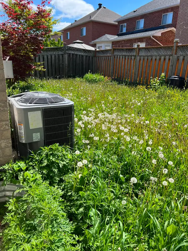 Property Maintenance - Photo 2