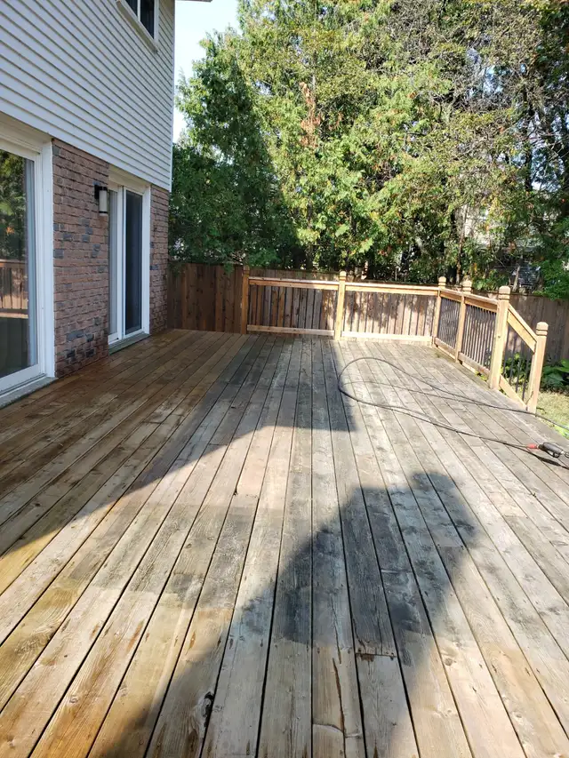 Property Maintenance - Photo 6