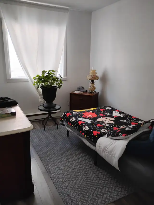 4 1/2 St-Jérôme RDC Duplex Enquête crédit514-9099437 - Photo 3