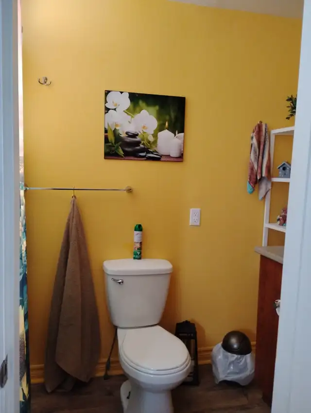 4 1/2 St-Jérôme RDC Duplex Enquête crédit514-9099437 - Photo 7