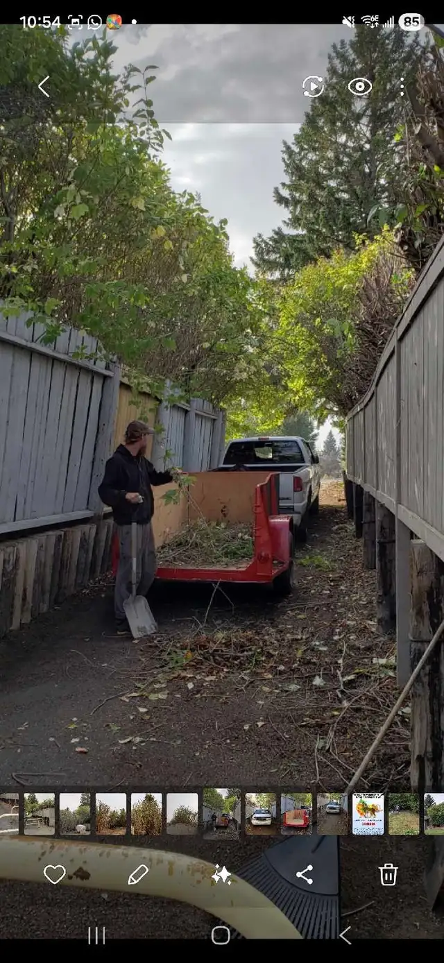 spring cleaning - Photo 2