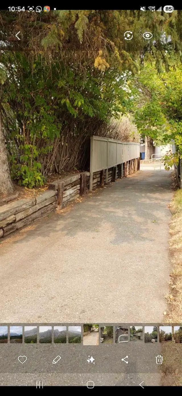 spring cleaning - Photo 3