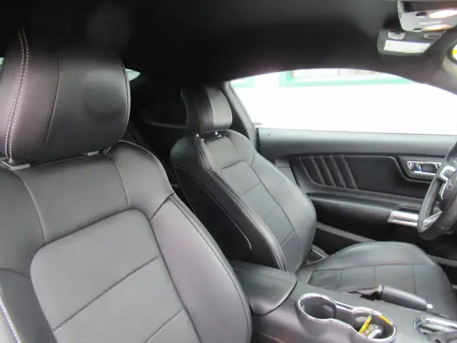 2015 Ford Mustang Ecoboost Premium | Heated and Cooled Leather | - Photo 8