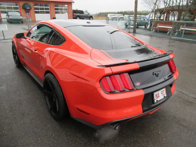 2015 Ford Mustang Ecoboost Premium | Heated and Cooled Leather | - Photo 13