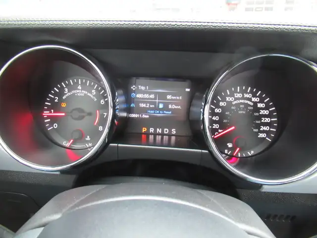 2015 Ford Mustang Ecoboost Premium | Heated and Cooled Leather | - Photo 19