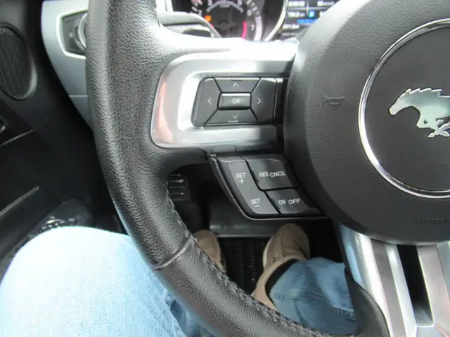 2015 Ford Mustang Ecoboost Premium | Heated and Cooled Leather | - Photo 21