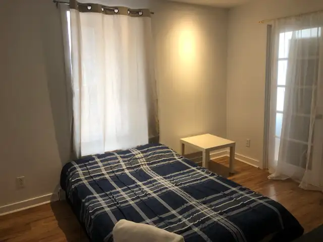 4 bedroom… de Lorimier …Private Yard - Photo 9