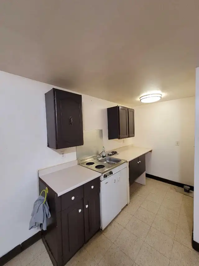 basement suite - Photo 3