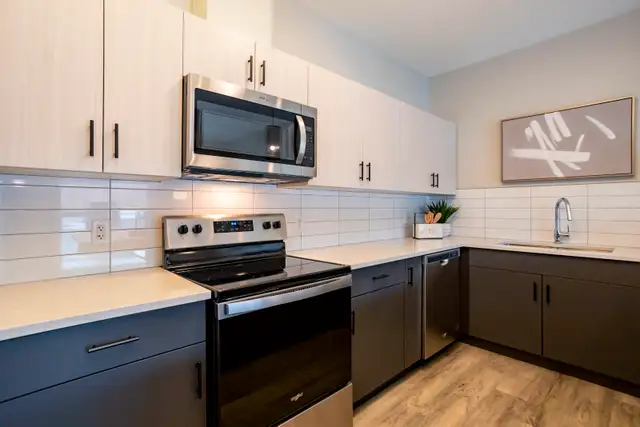 1 BED UNITS AVAILABLE FOR 1 MONTH FREE! - Photo 4