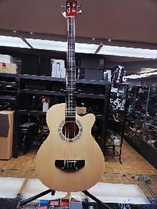 Guitare Basse Acoustique
