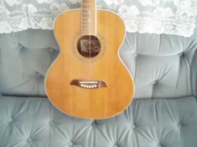 WASHBURN  ACOUSTIC GUITAR