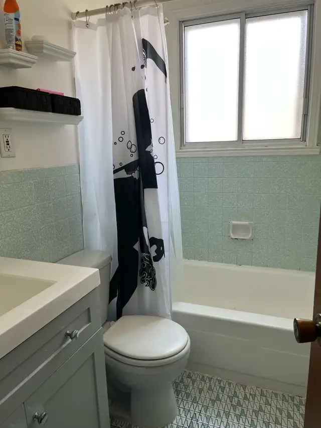 Lasalle 4 1/2 upper - Photo 2