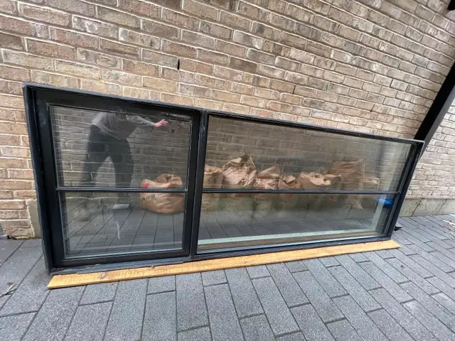 Window 95x 63 from Golden - Photo 2