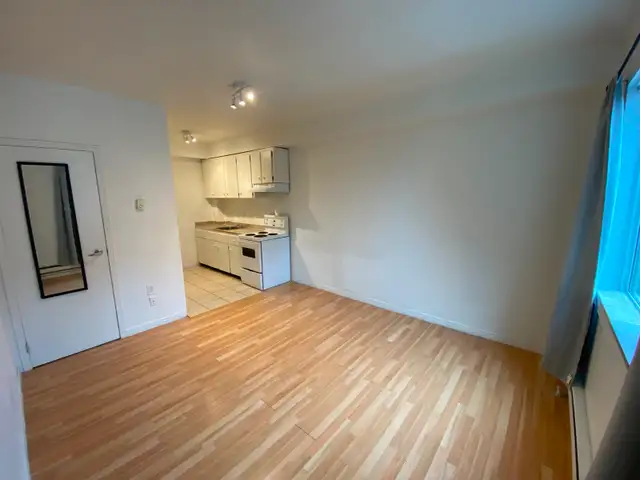 Studio Bachelor Suite in Durand Neighbourhood - Photo 2