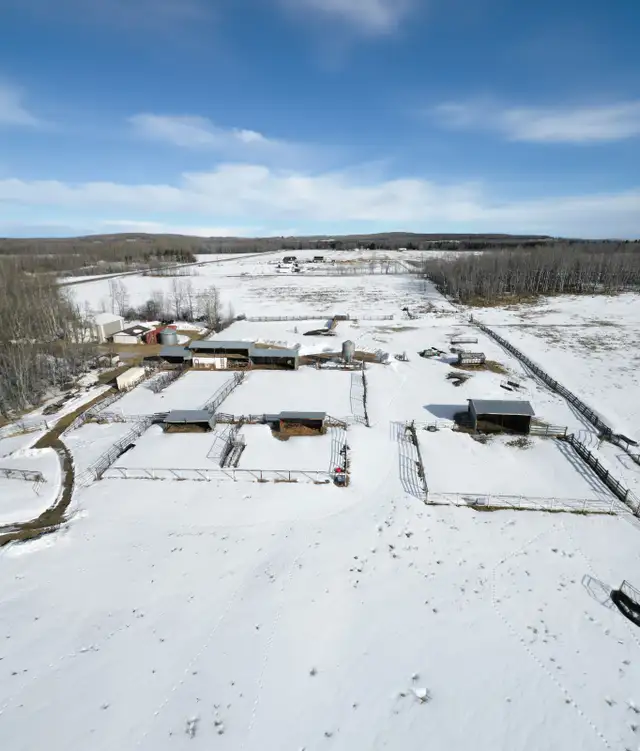 26EK - Real Estate 158± Acres w/ Home, Shop, and Outbuildings - Photo 6