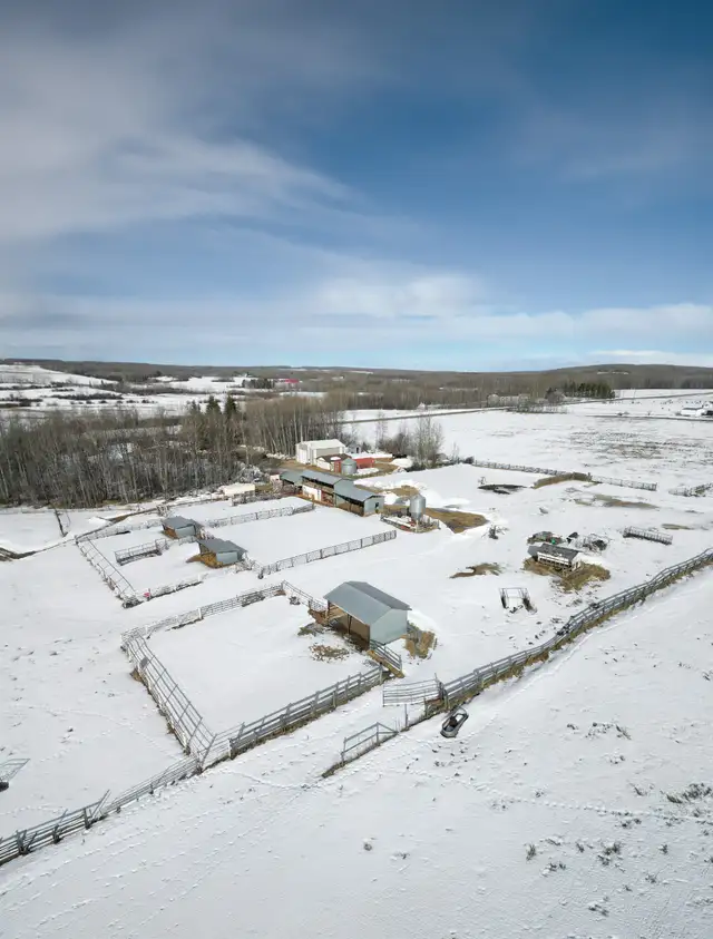 26EK - Real Estate 158± Acres w/ Home, Shop, and Outbuildings - Photo 10