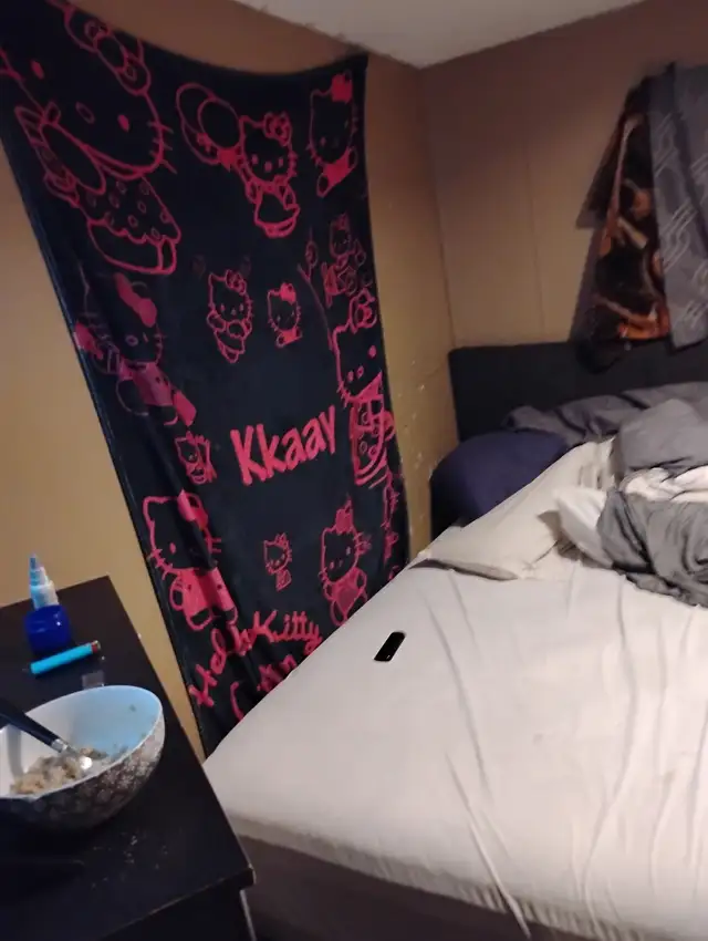 Selling a  Challenger mobile home - Photo 3