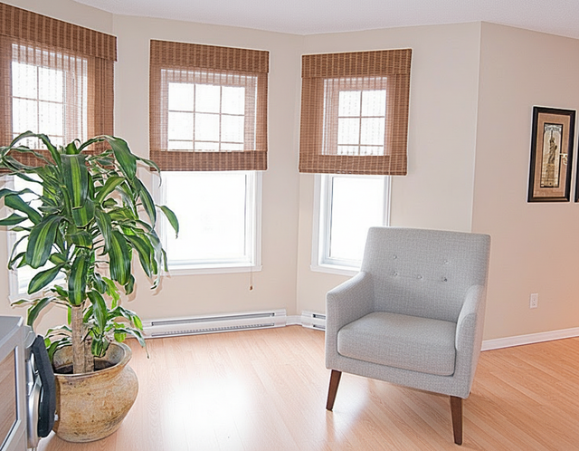 ✨ Magnifique 4 ½ Confort, tranquillité et lumière ! - Photo 3