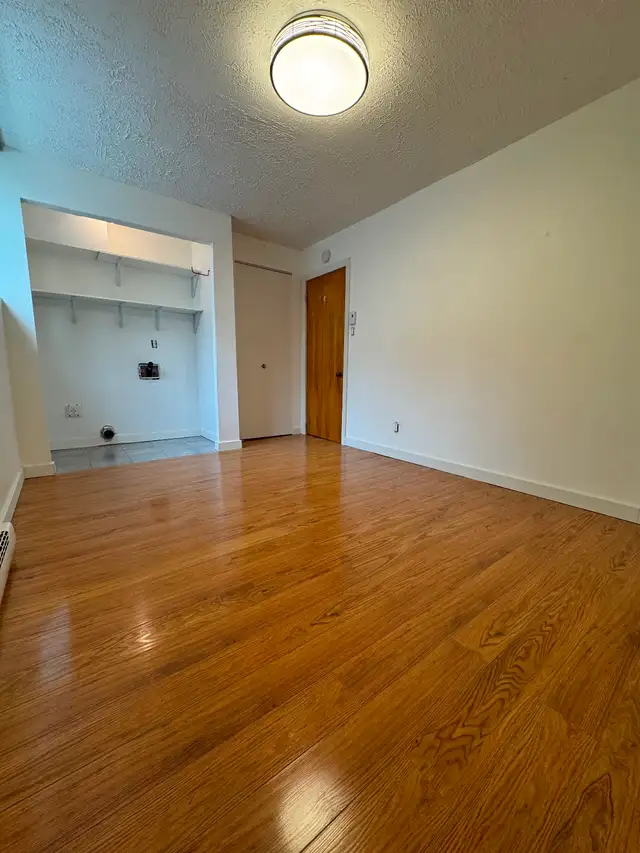 Beau 3 1/2 lumineux - Photo 3