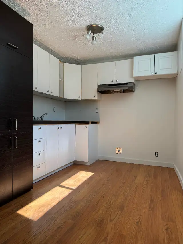 Beau 3 1/2 lumineux - Photo 4