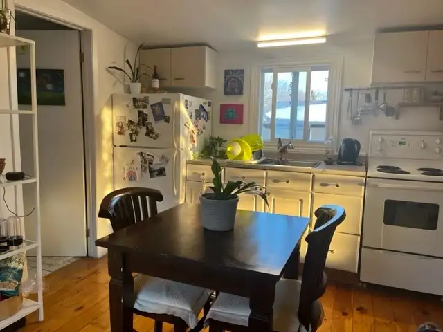 Loft for June 1st - Hintonburg Ottawa - $1600/mth - 1 bedroom - Photo 5