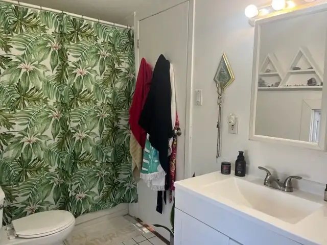 Loft for June 1st - Hintonburg Ottawa - $1600/mth - 1 bedroom - Photo 10