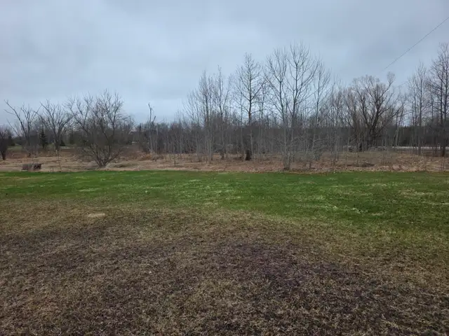 5–8 Acres Farm Land for Lease – Hay / Crops / Grazing – Amaranth - Photo 3