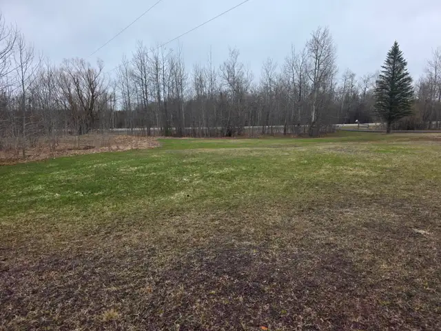 5–8 Acres Farm Land for Lease – Hay / Crops / Grazing – Amaranth - Photo 4