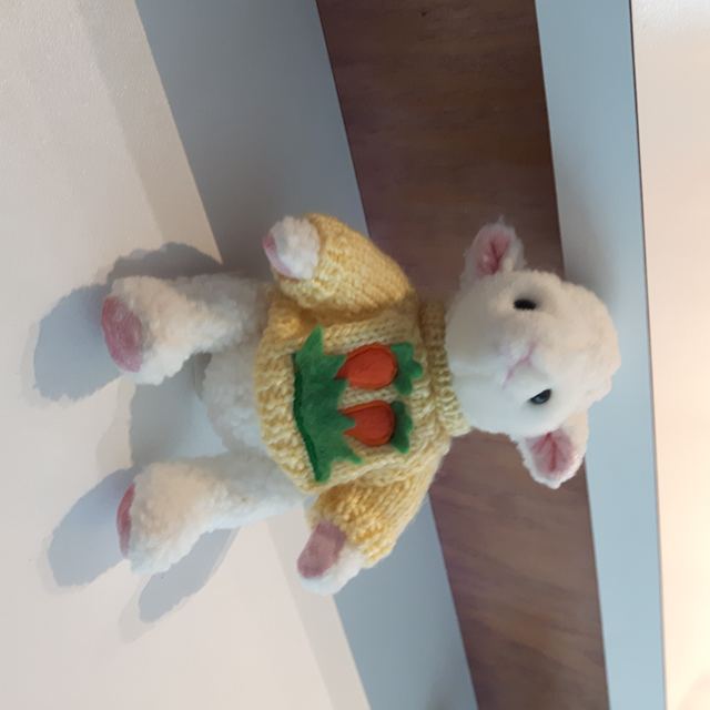 MOUTON PELUCHE DE LA CHINE 9'HAUT SON BEAU CHANDAIL: $15.00 - Photo 3