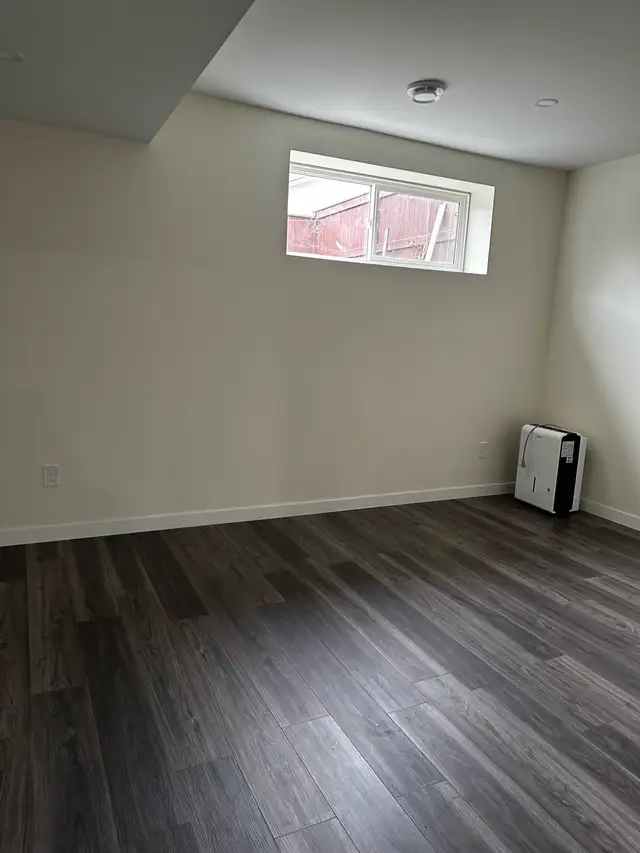 basement for rent - Photo 4